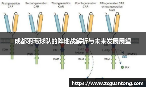成都羽毛球队的阵地战解析与未来发展展望